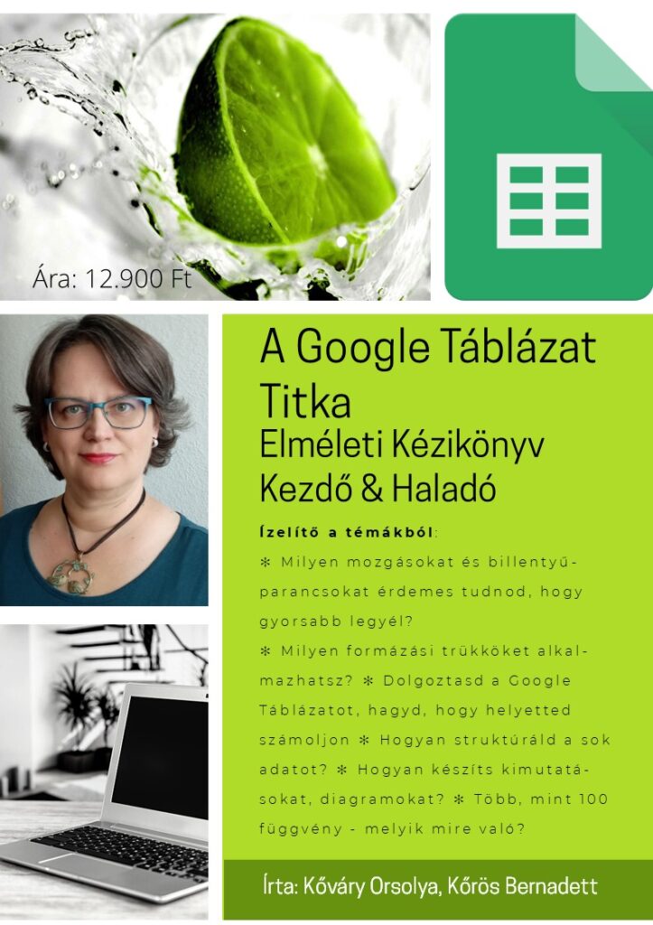 Google Táblázatok kézikönyv borító